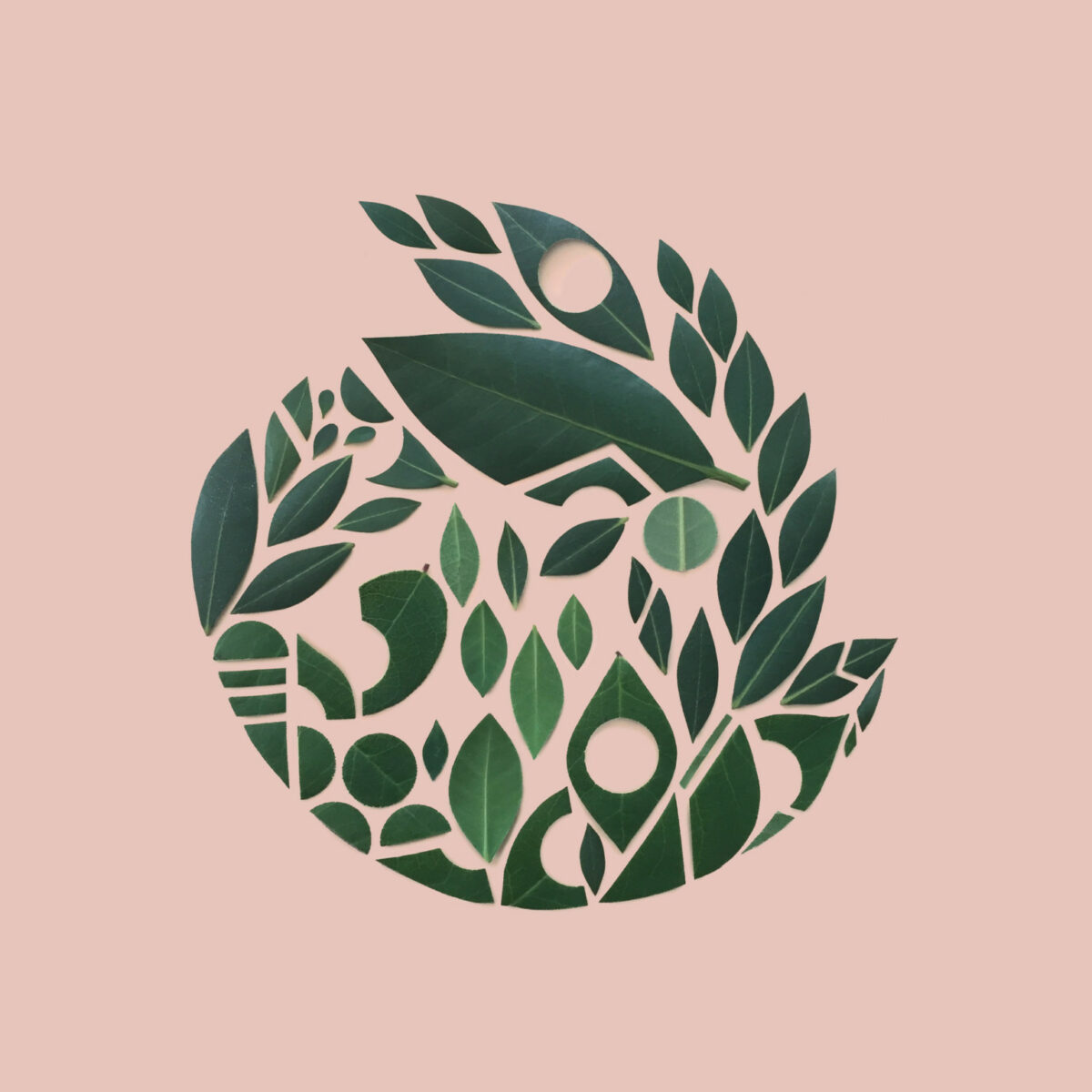 Incredible Mosaics Made Of Natural Materials Food And Everyday Objects By Kristen Meyer 5