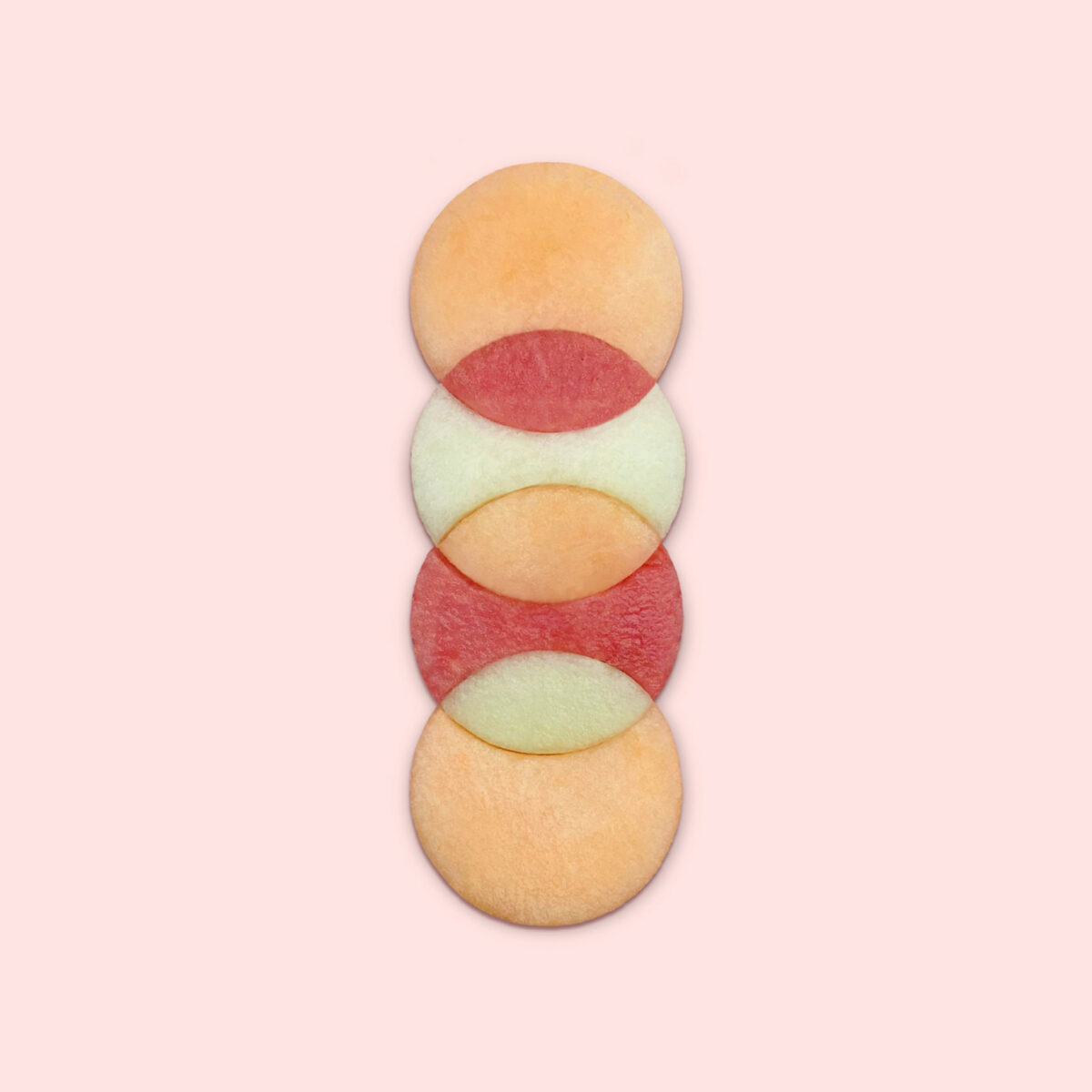 Incredible Mosaics Made Of Natural Materials Food And Everyday Objects By Kristen Meyer 7