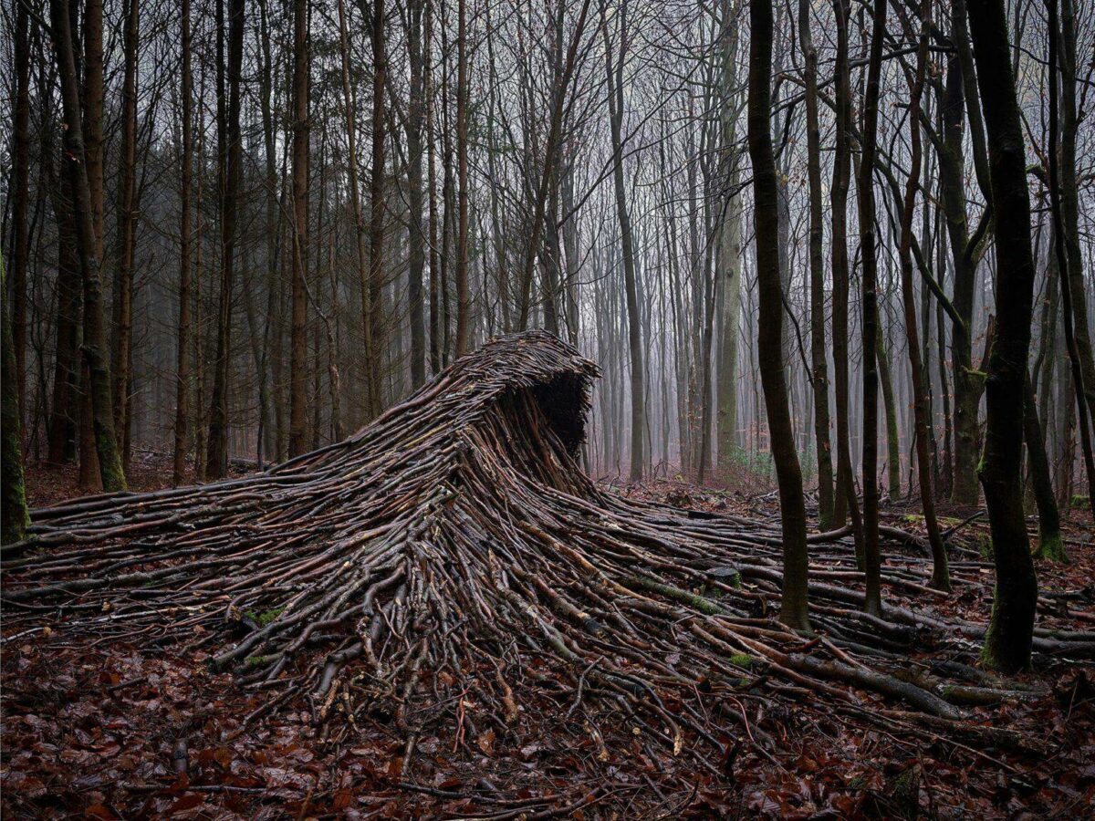 Incredible Outdoor Installations Of Massive Waves Made Of Deadwood By Jorg Gascher 1