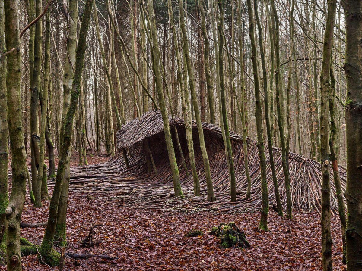 Incredible Outdoor Installations Of Massive Waves Made Of Deadwood By Jorg Gascher 5
