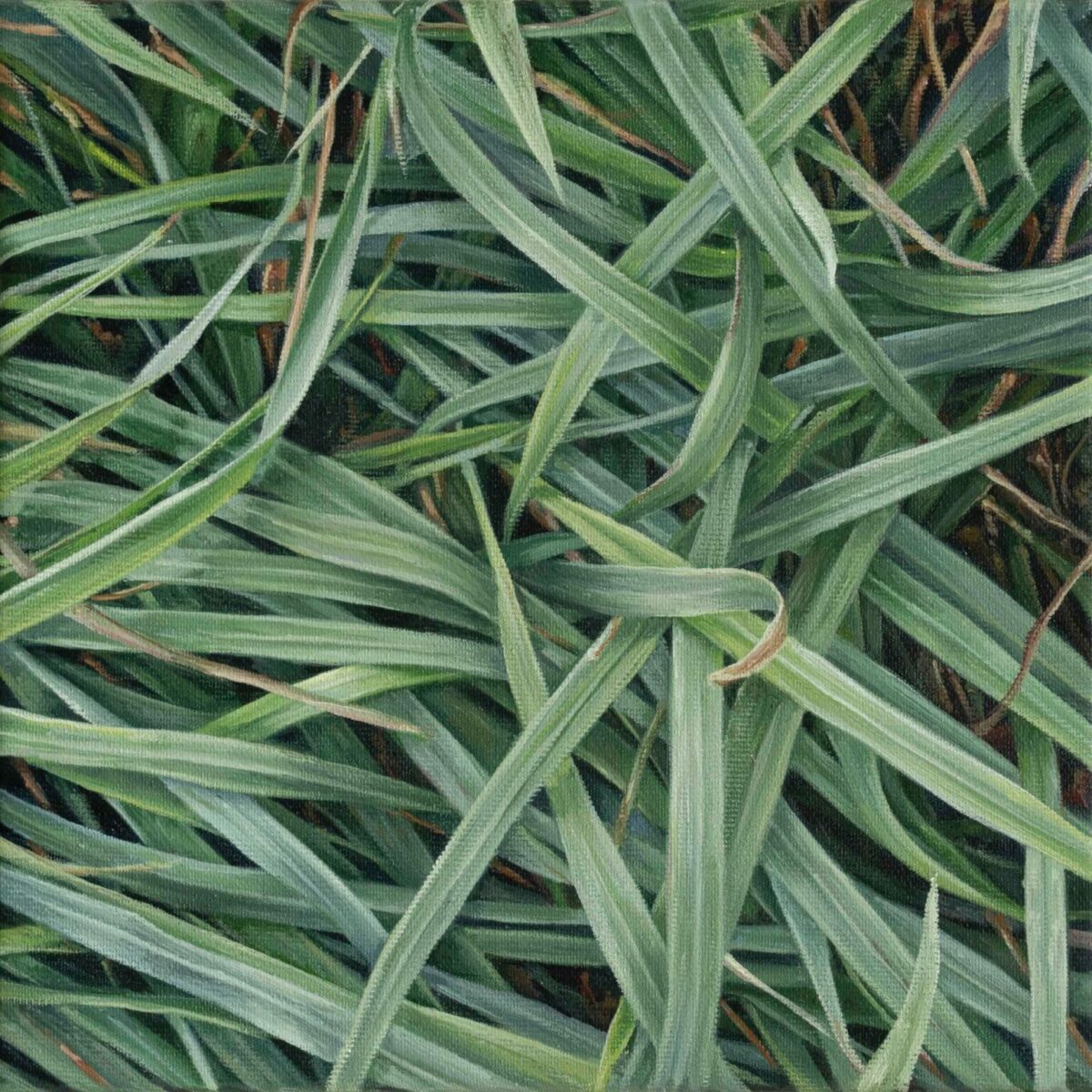 Stunning Hyper Realistic Foliage Paintings By Jelena And Aleksandar Paunkovic 3