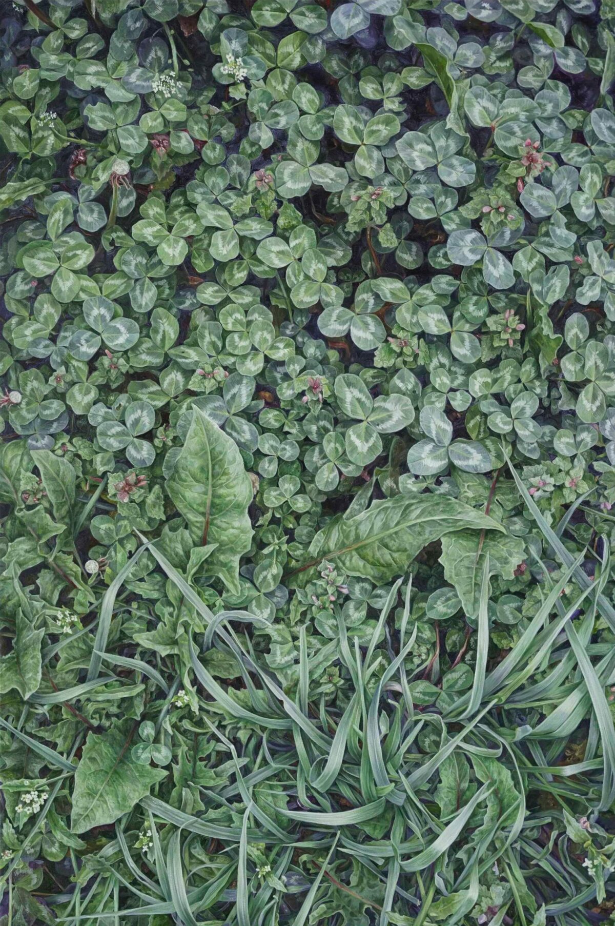 Stunning Hyper Realistic Foliage Paintings By Jelena And Aleksandar Paunkovic 7