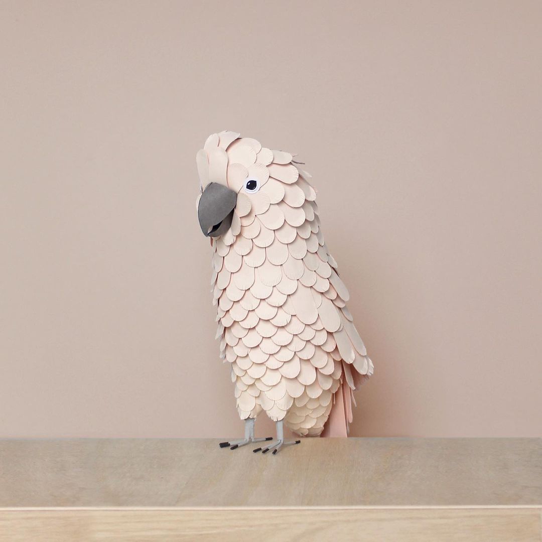Superb Paper Sculptures Of Animals Plants And Objects By Sarah Louise Matthews 10