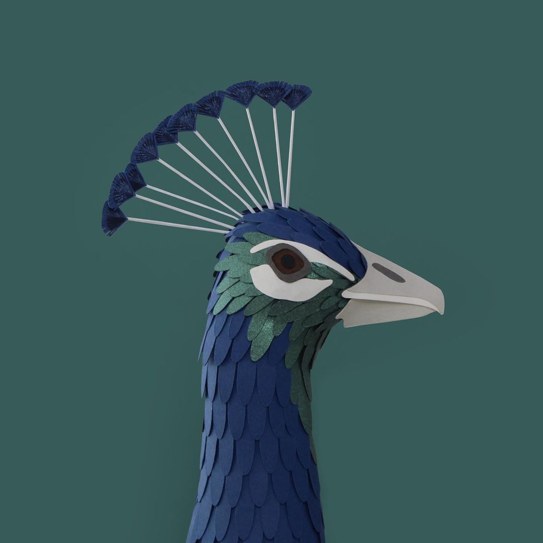 Superb Paper Sculptures Of Animals Plants And Objects By Sarah Louise Matthews 2