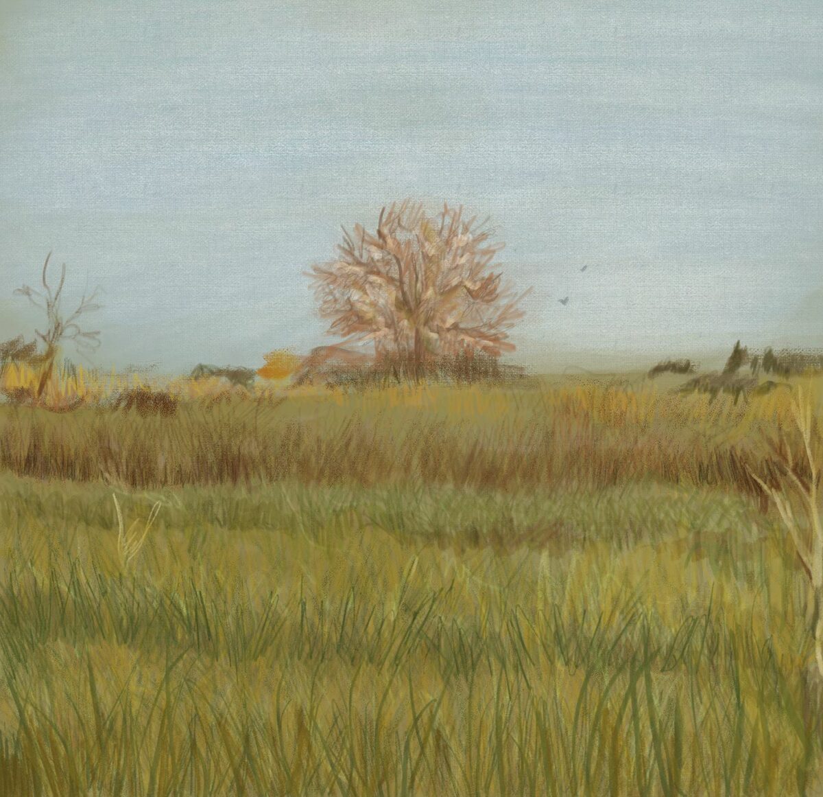 A Walk Through The Fields A Marvelous Digital Painting Series By Veronika Stehr 3