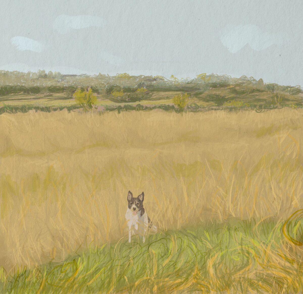 A Walk Through The Fields A Marvelous Digital Painting Series By Veronika Stehr 4