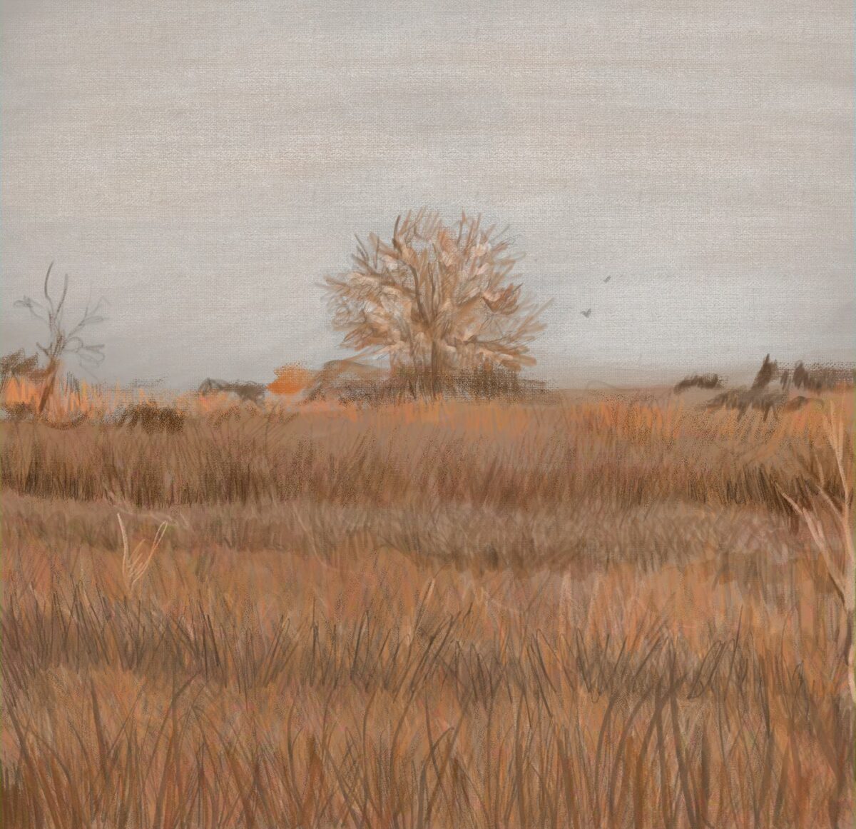 A Walk Through The Fields A Marvelous Digital Painting Series By Veronika Stehr 8