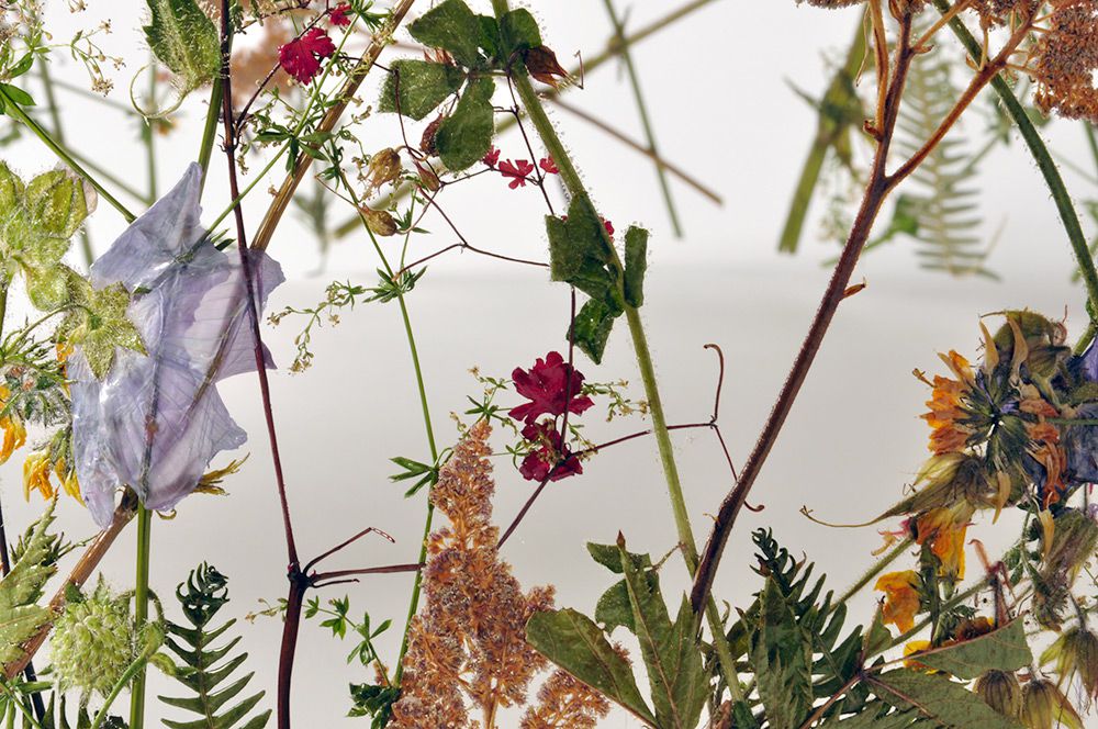 Delicate Vessels Made Of Pressed Flowers By Ignacio Canales Aracil 7