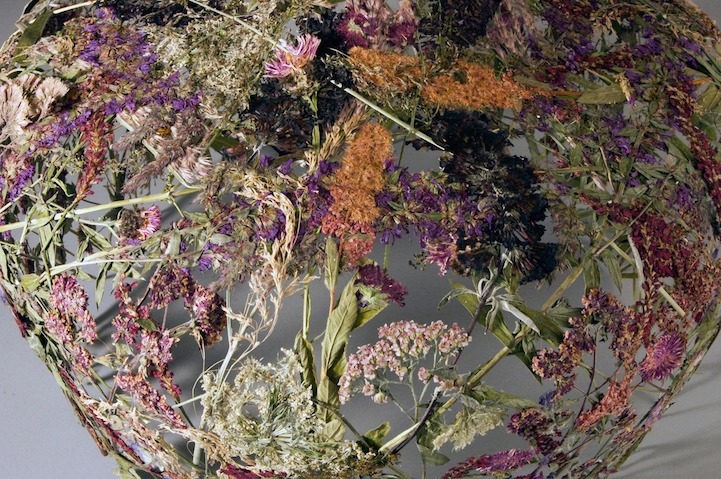 Delicate Vessels Made Of Pressed Flowers By Ignacio Canales Aracil 9