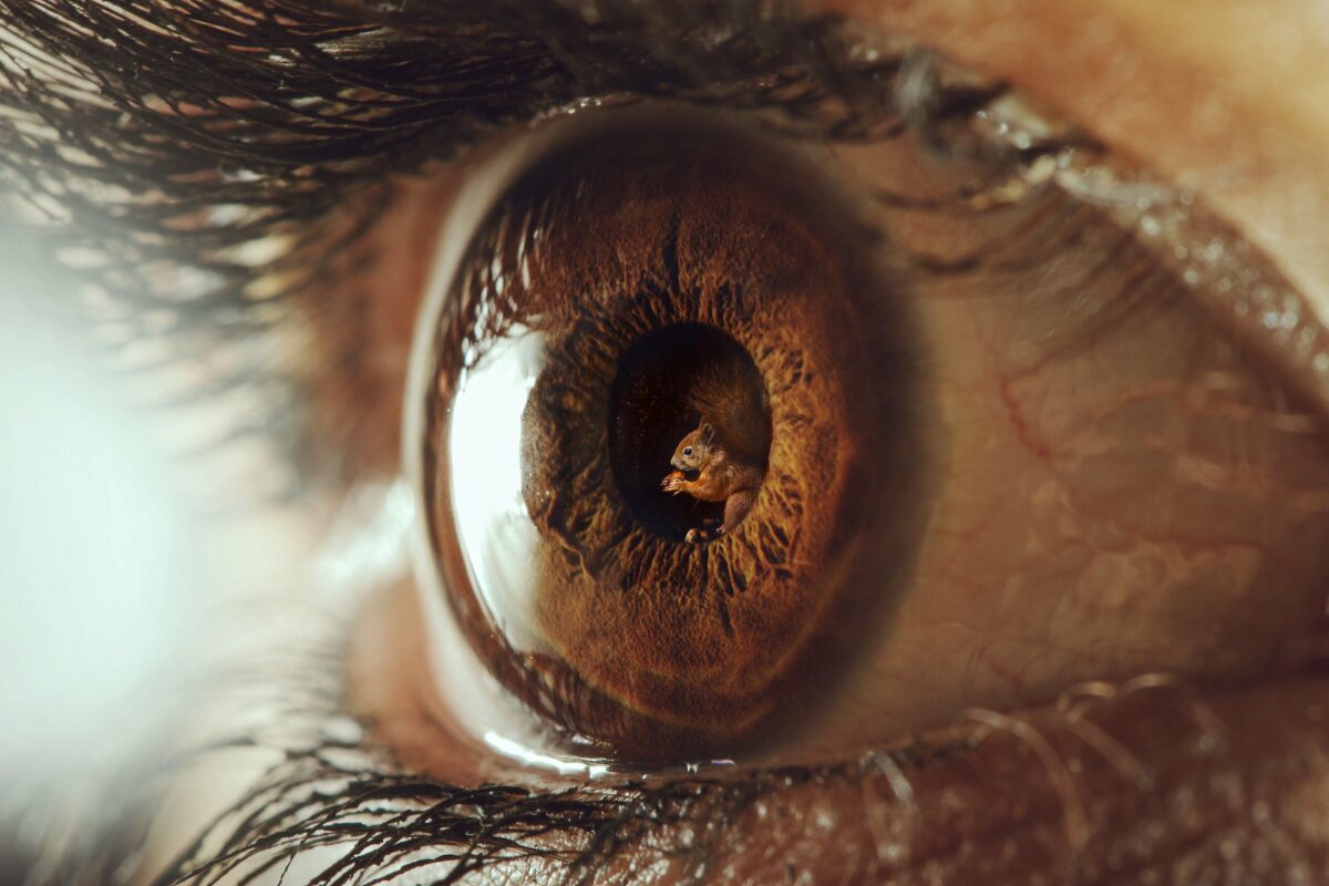 Dont Believe Your Eyes Striking Surrealist Photo Collage Series By Jyo John Mulloor 1