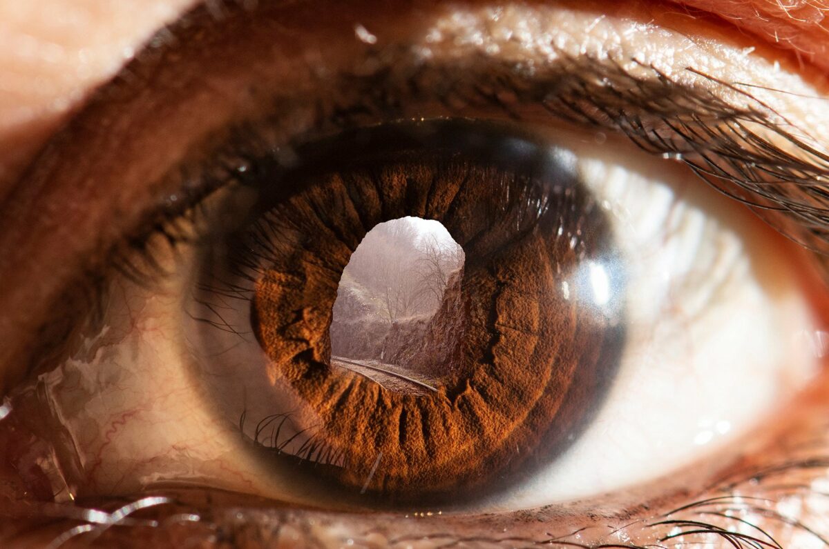 Dont Believe Your Eyes Striking Surrealist Photo Collage Series By Jyo John Mulloor 9