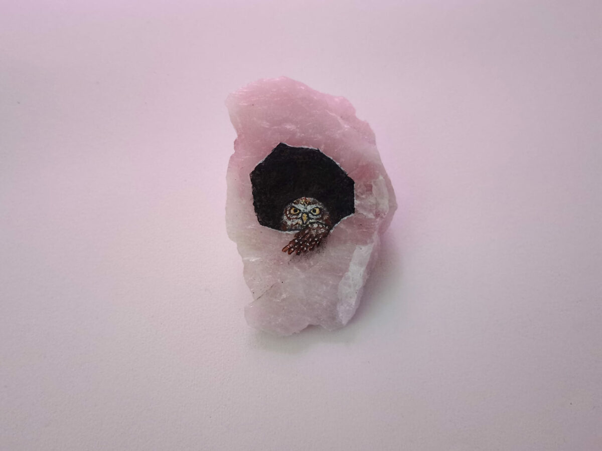 Enchanting Miniature Animals Painted On Rose Quartz By Iantha Naicker 15