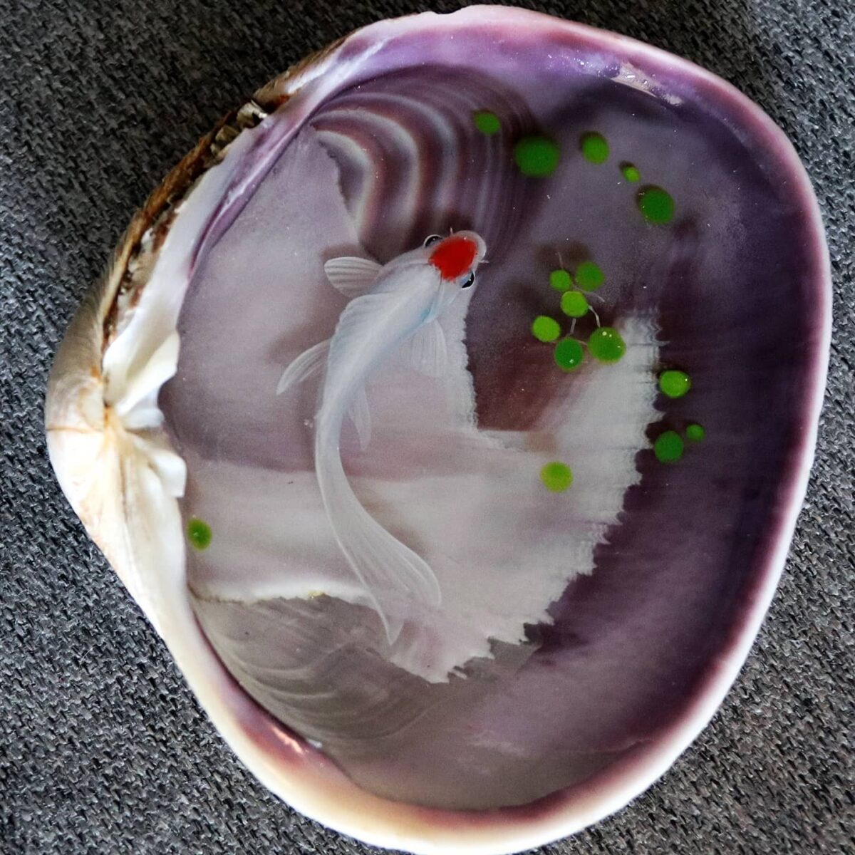 Gorgeous And Detailed 3d Paintings Of Fish In Resin By Feif Dong 5