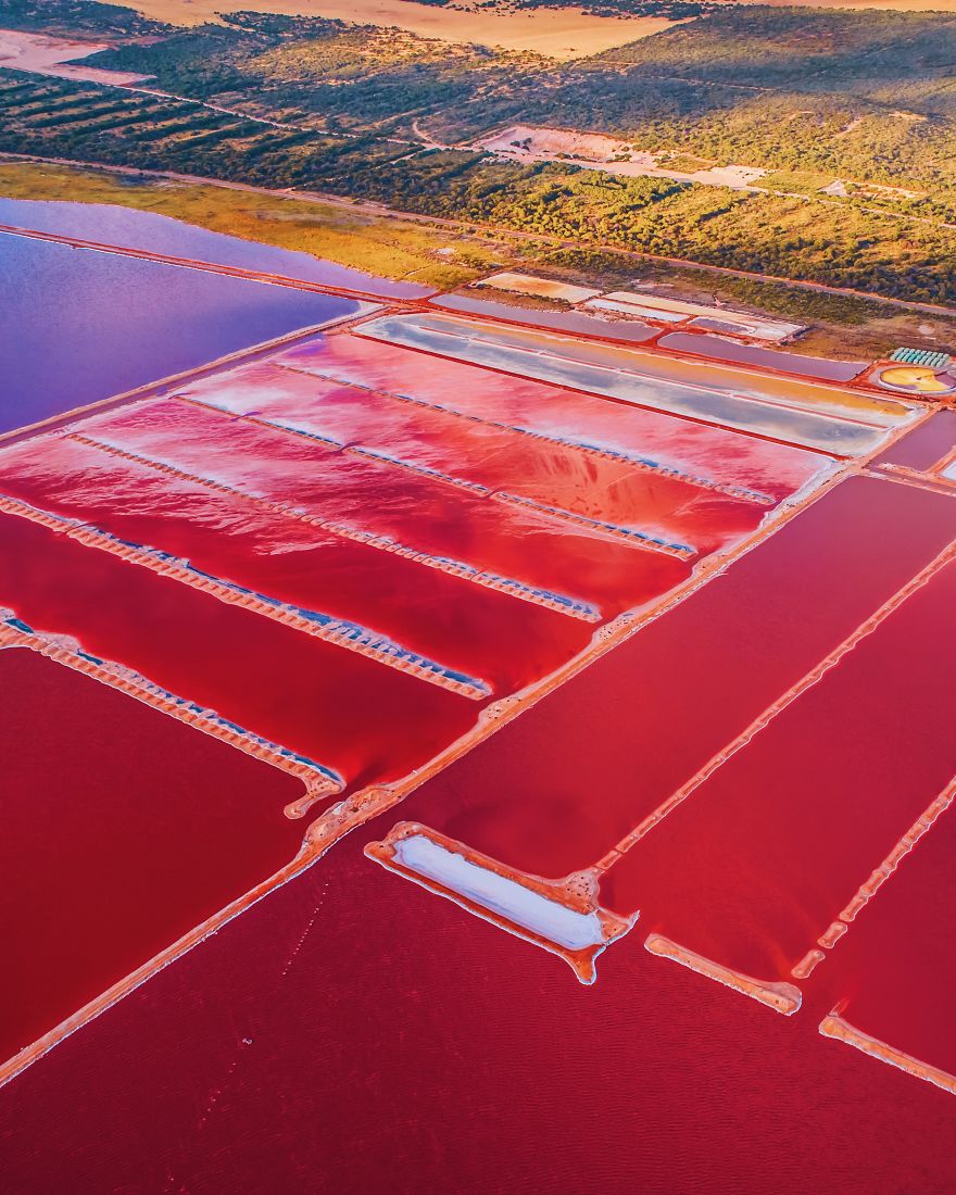 Gorgeous Pictures Of An Exuberant Pink Lagoon In Western Australia Captured By Kristina Makeeva 15
