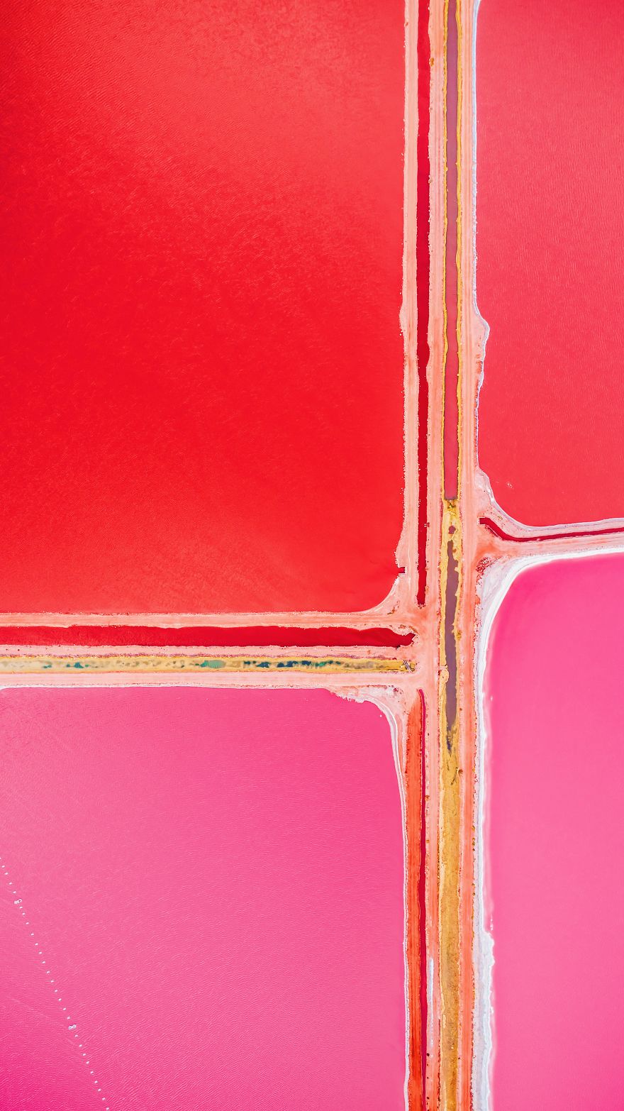 Gorgeous Pictures Of An Exuberant Pink Lagoon In Western Australia Captured By Kristina Makeeva 19