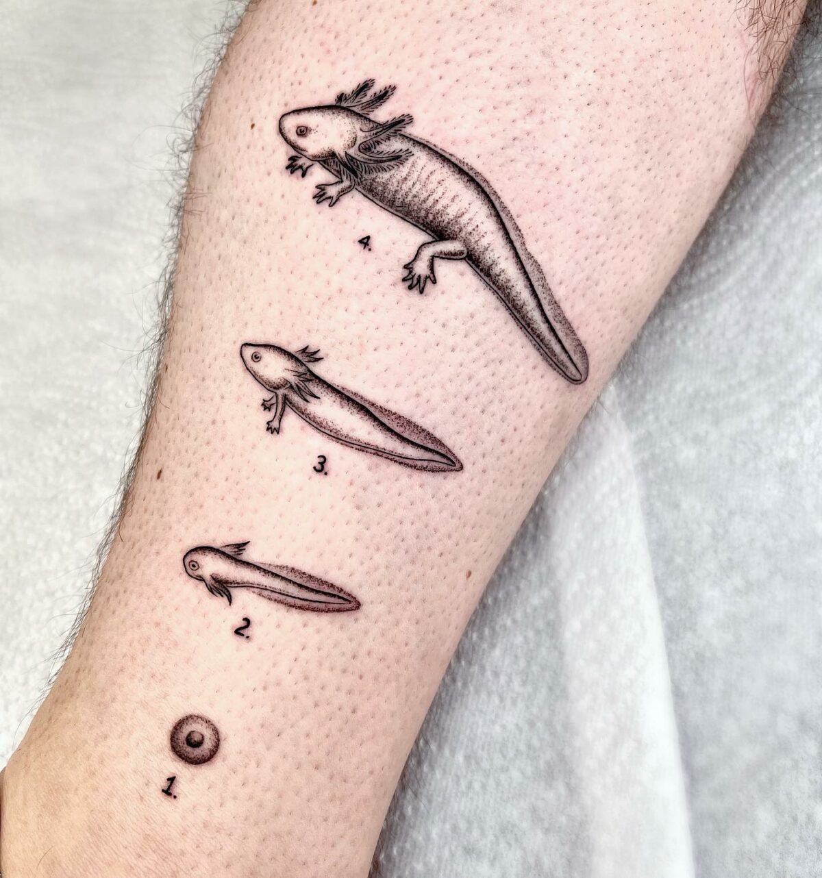 Whimsical Vintage Science Book Inspired Tattoos By Michele Volpi 1