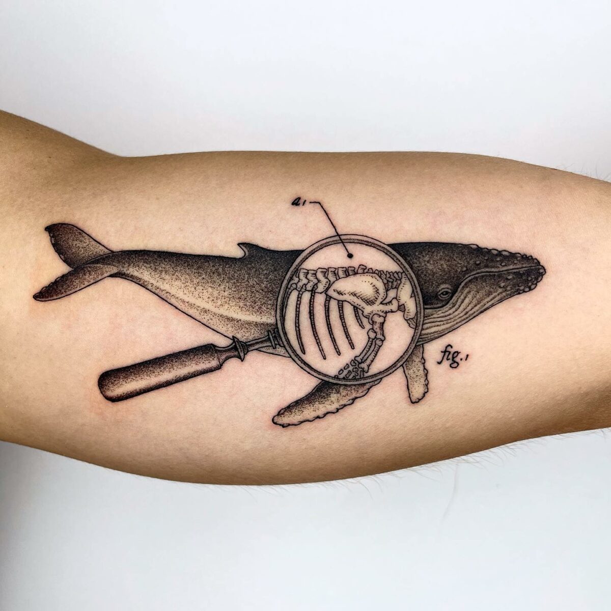 Whimsical Vintage Science Book Inspired Tattoos By Michele Volpi 21