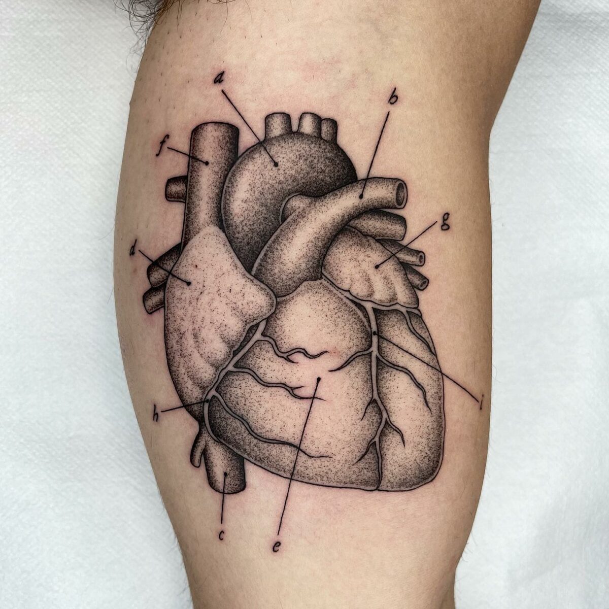 Whimsical Vintage Science Book Inspired Tattoos By Michele Volpi 24