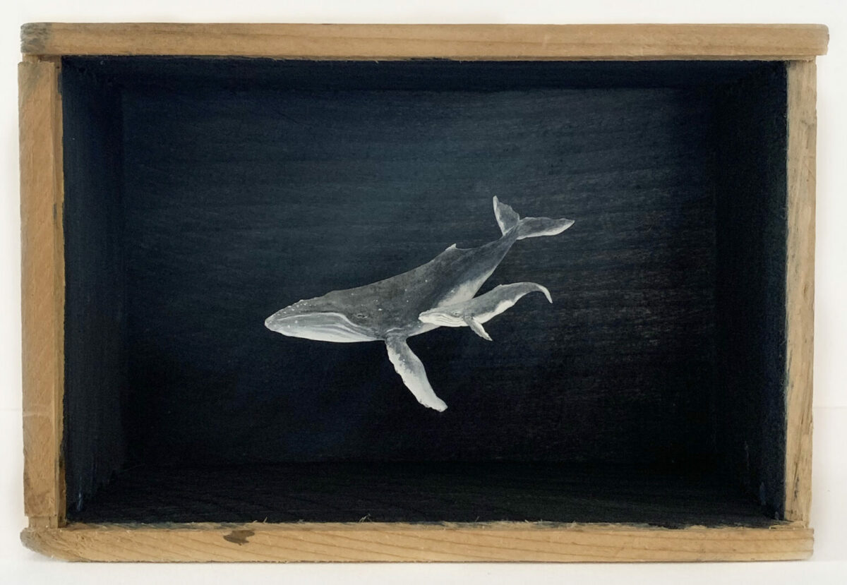 Box Dioramas Fabulous Mixed Media Artworks By Allison May Kiphuth 10