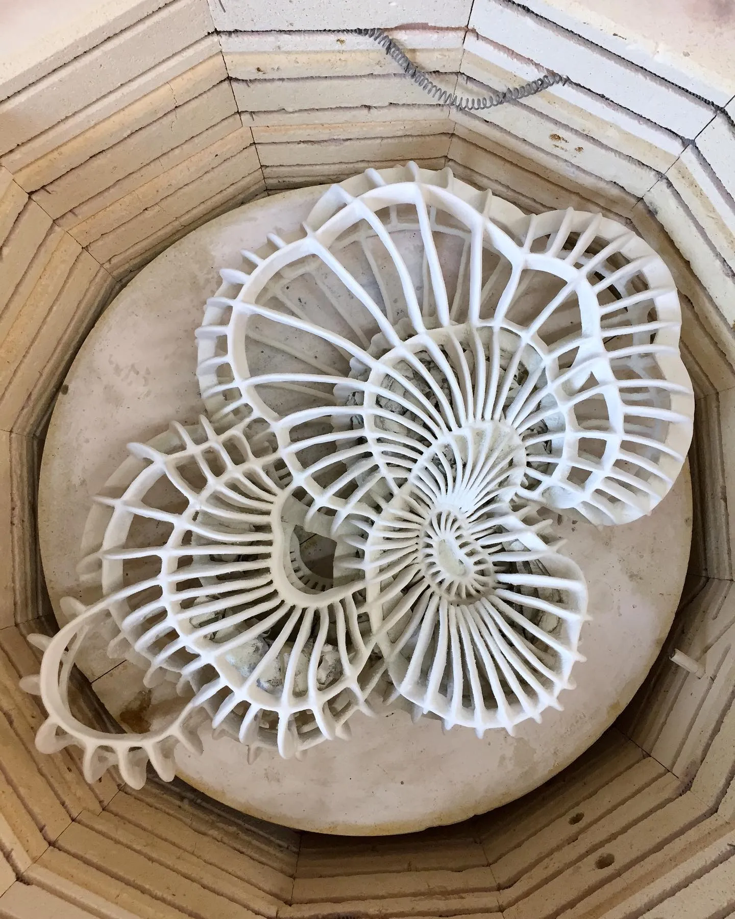 Porcelain Micro Life Abstract And Intricate Sculptures By Shiyuan Xu 13