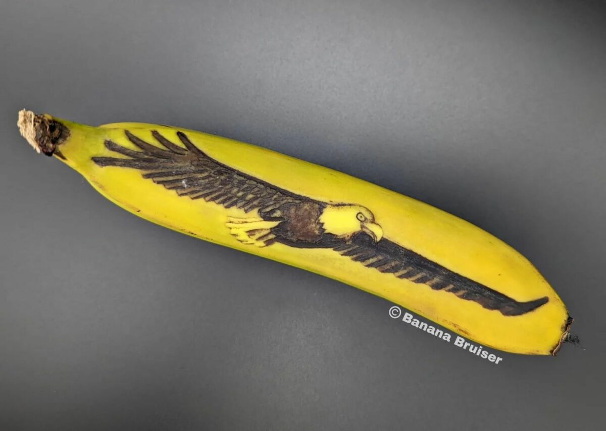 The Bruised Banana Art Of Anna Chojnicka 9