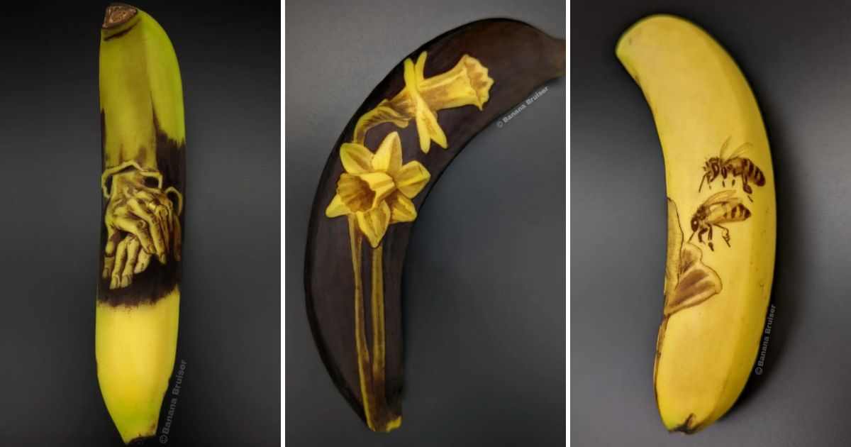 Anna Chojnicka: detailed drawings on banana peel canvas