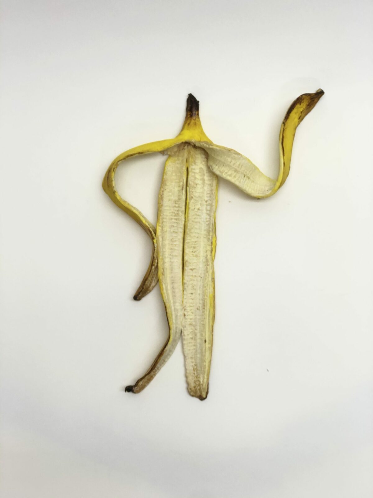 Surreal Bananas Amusing Ceramic Sculptures By Koji Kasatani 9