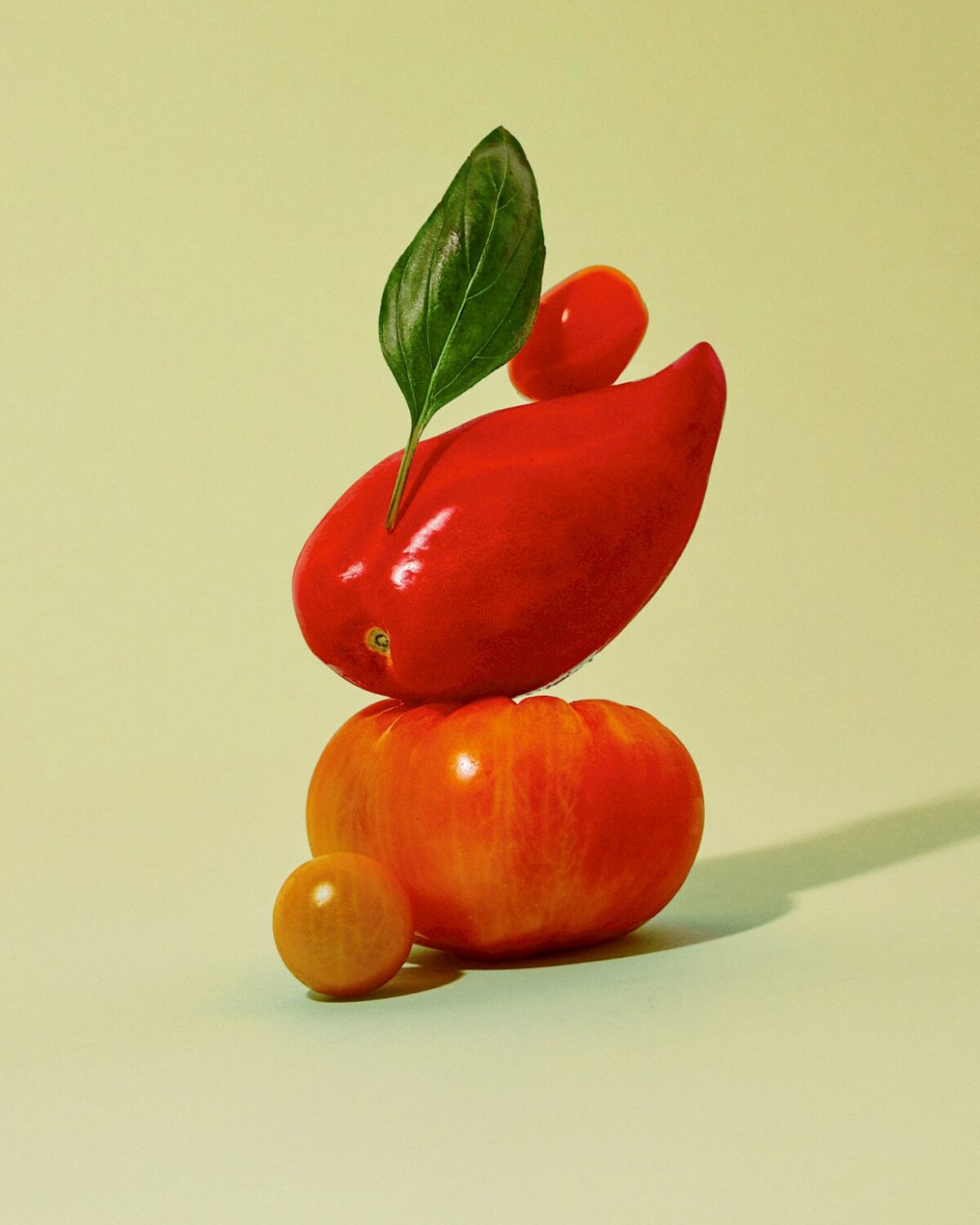 The Colorful Still Life Photography Of Florent Tanet 3