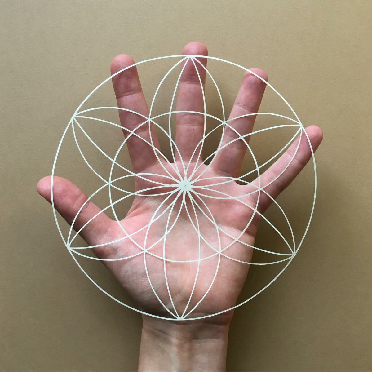 The Minutely Delicate Paper Cuttings Of Elin Price 11