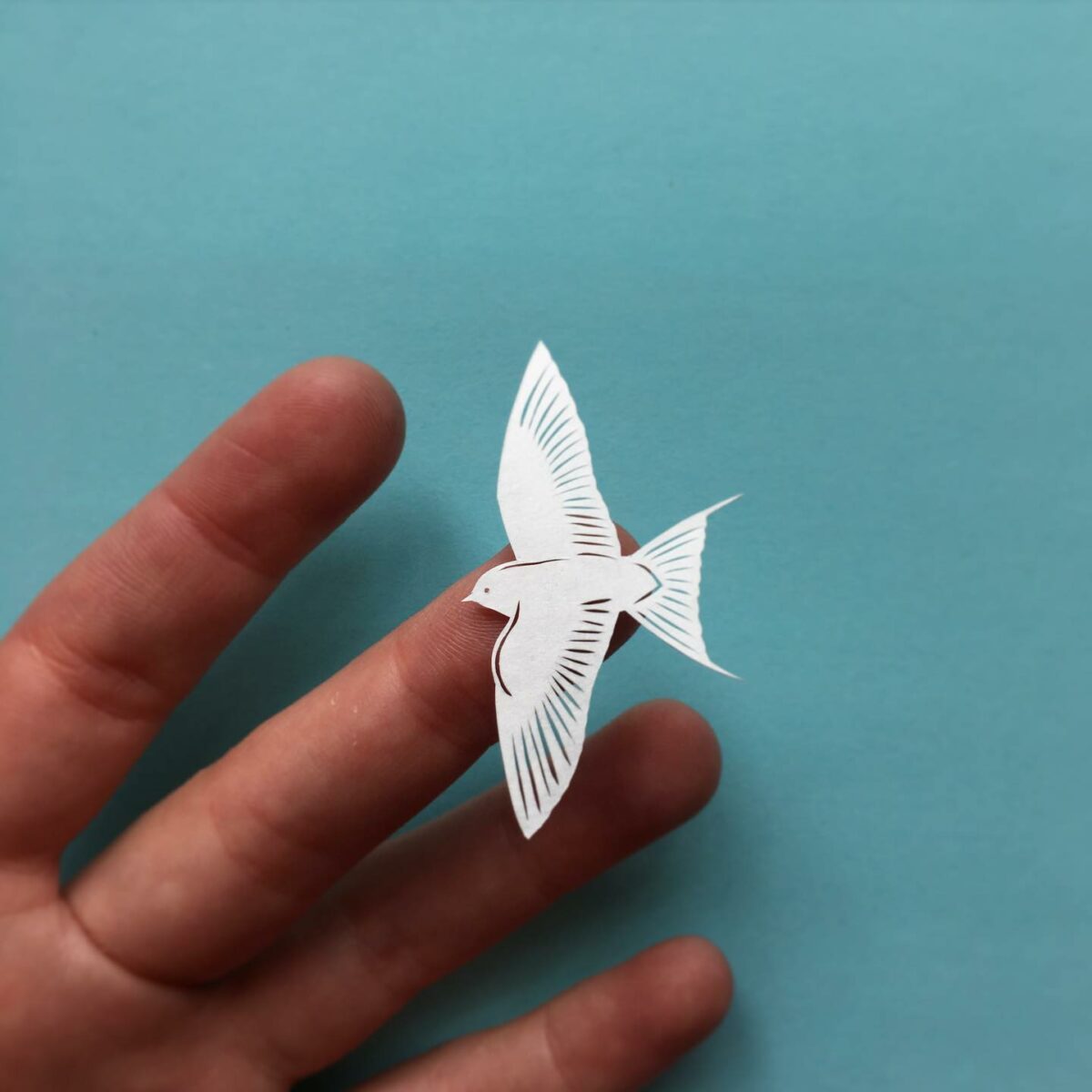 The Minutely Delicate Paper Cuttings Of Elin Price 14