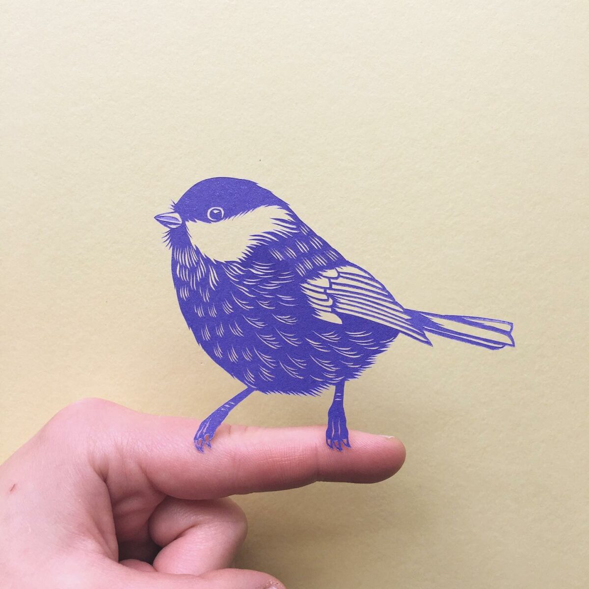 The Minutely Delicate Paper Cuttings Of Elin Price 19