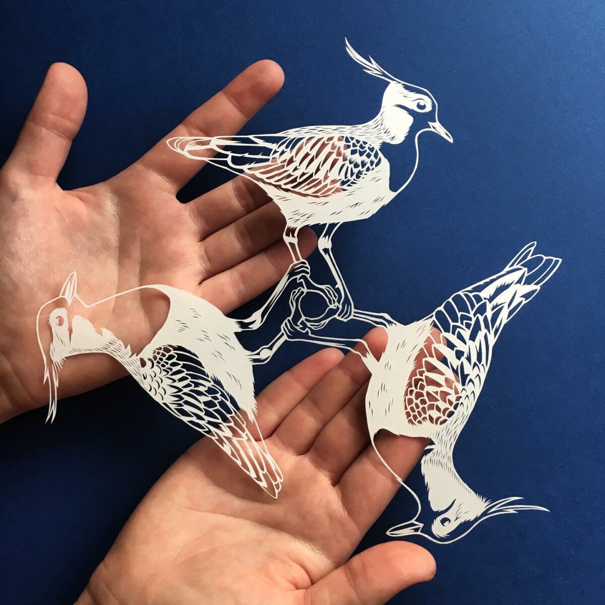 The Minutely Delicate Paper Cuttings Of Elin Price 3
