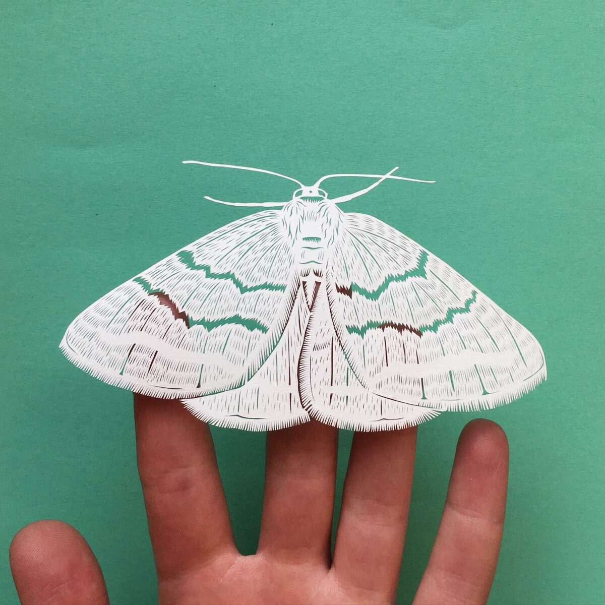 The Minutely Delicate Paper Cuttings Of Elin Price 4