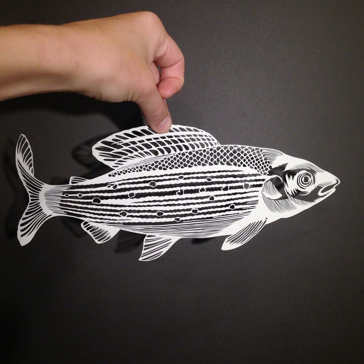 The Minutely Delicate Paper Cuttings Of Elin Price 9