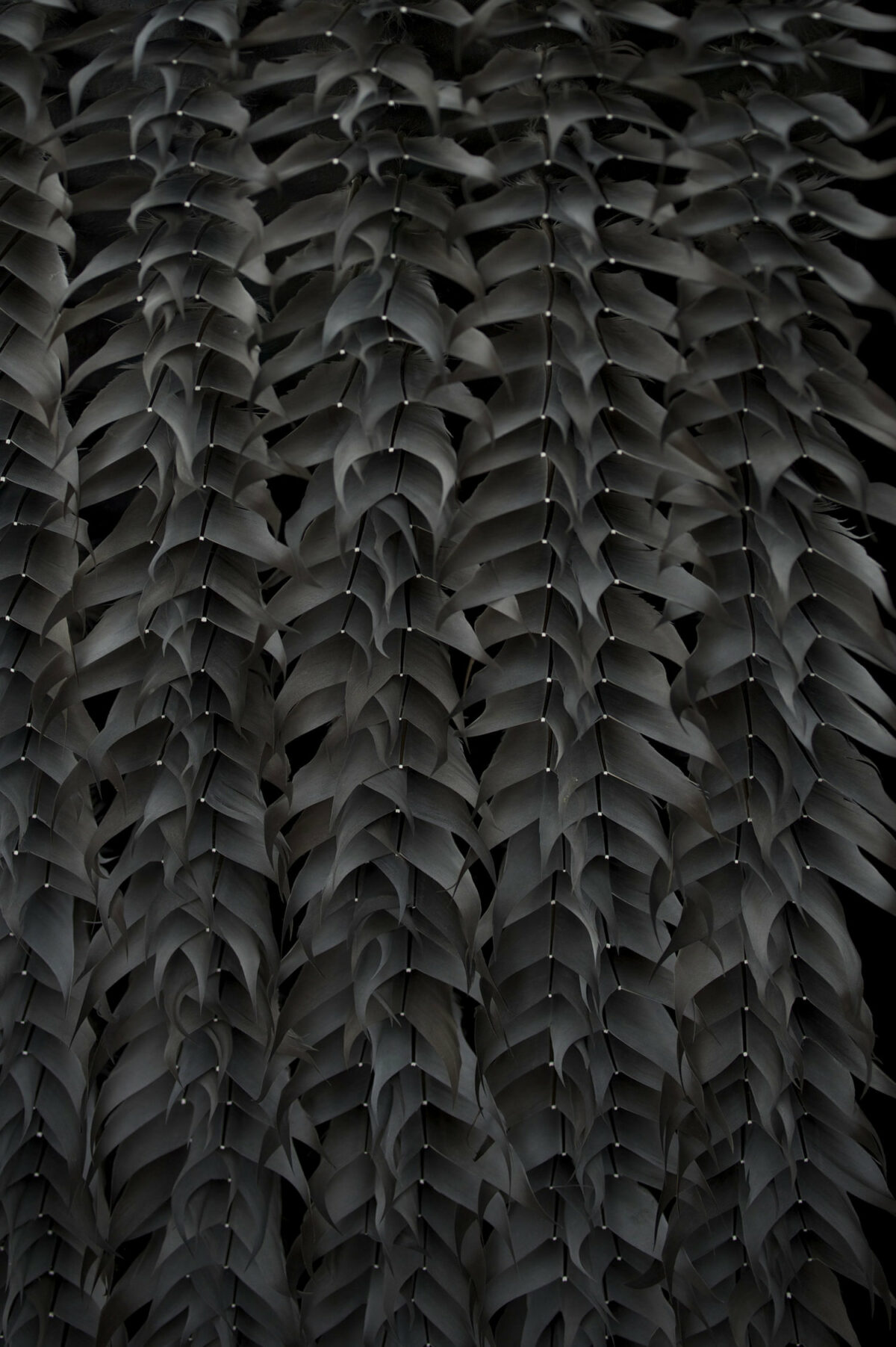 Absolutely Stunning Serpentine Coiled Sculptures Made Of Found British Bird Feathers By Kate Mccgwire 11