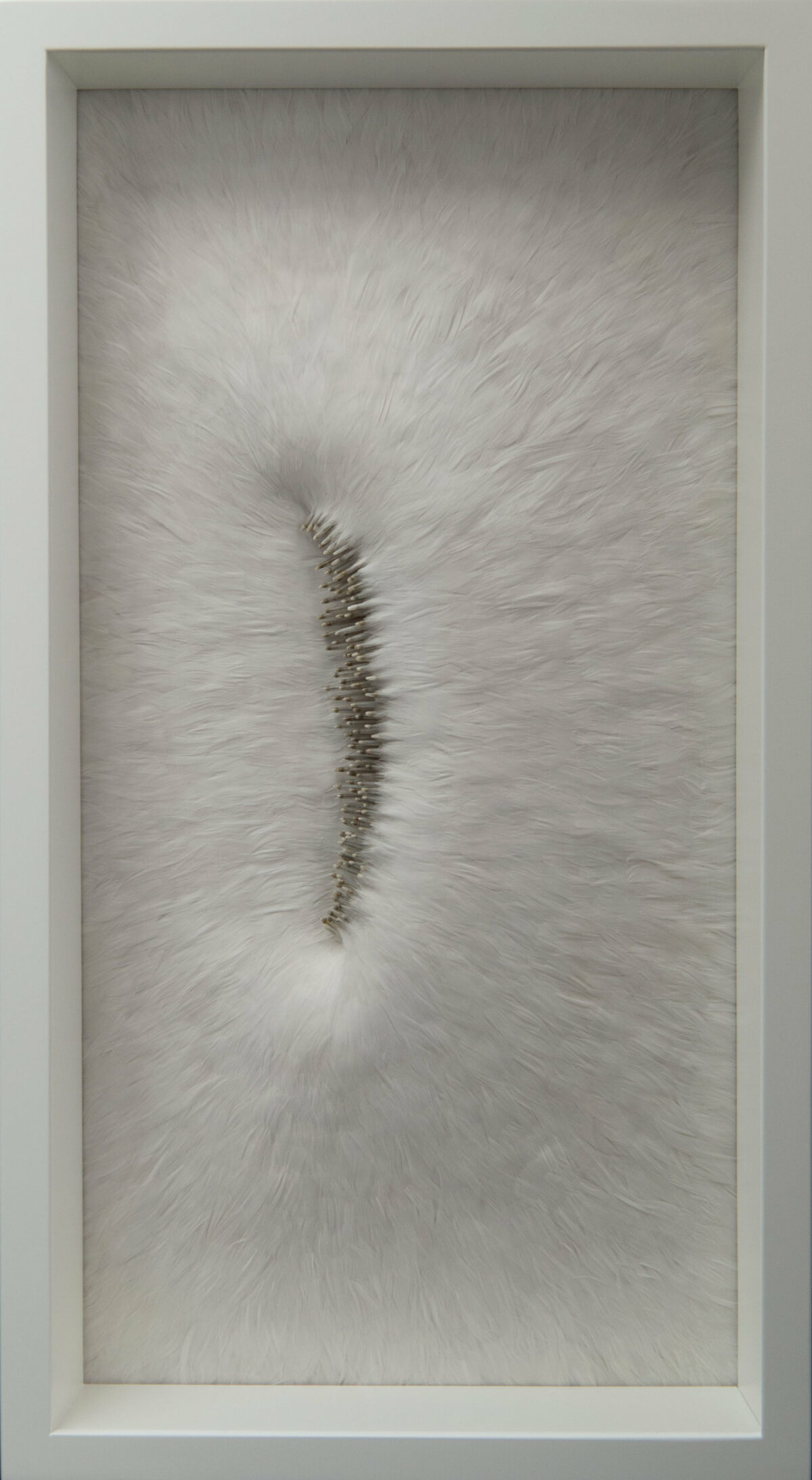 Absolutely Stunning Serpentine Coiled Sculptures Made Of Found British Bird Feathers By Kate Mccgwire 13 1