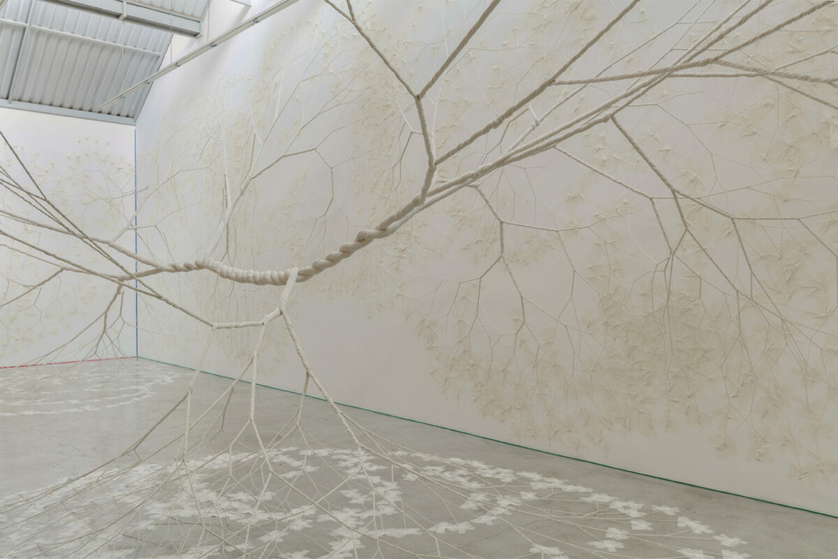 Ciclotramas Hypnotizing Tree And Roots Like Installations By Janaina Mello Landini 15