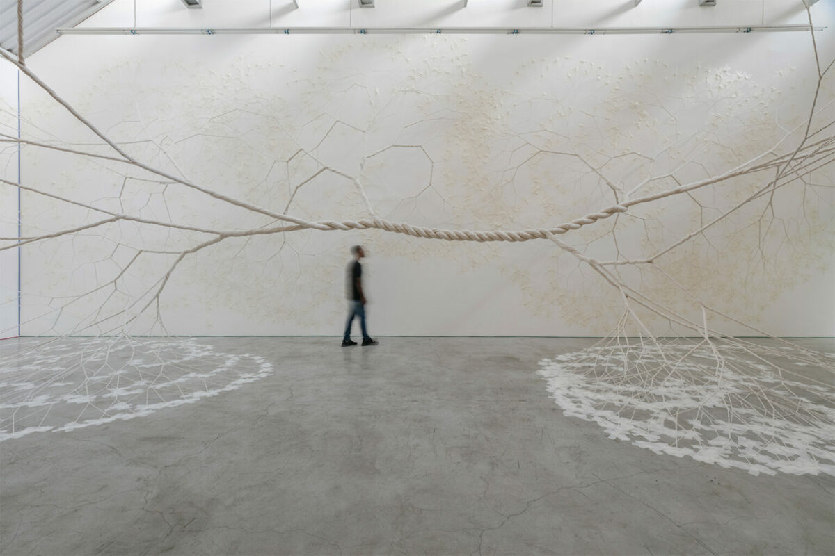 Ciclotramas Hypnotizing Tree And Roots Like Installations By Janaina Mello Landini 17
