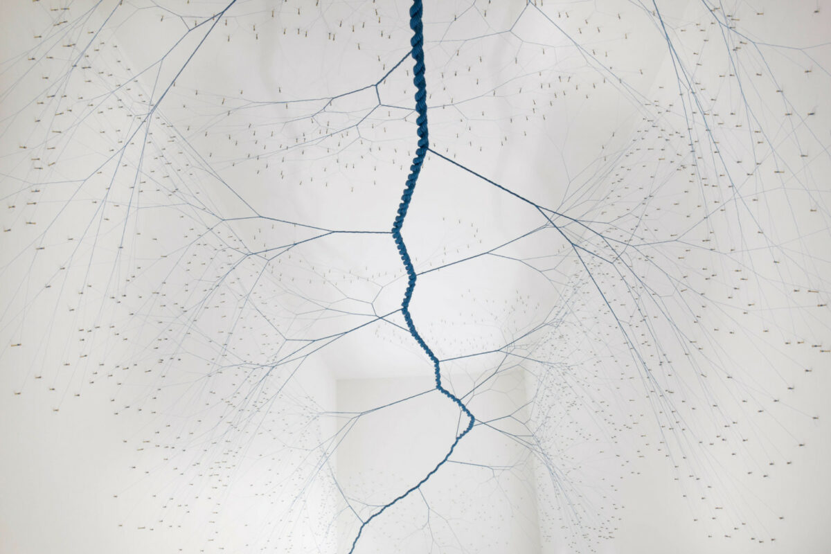 Ciclotramas Hypnotizing Tree And Roots Like Installations By Janaina Mello Landini 2