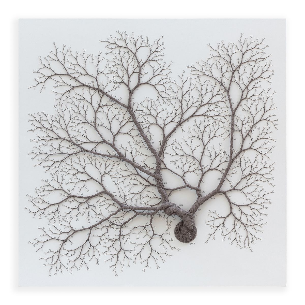 Ciclotramas Hypnotizing Tree And Roots Like Installations By Janaina Mello Landini 23