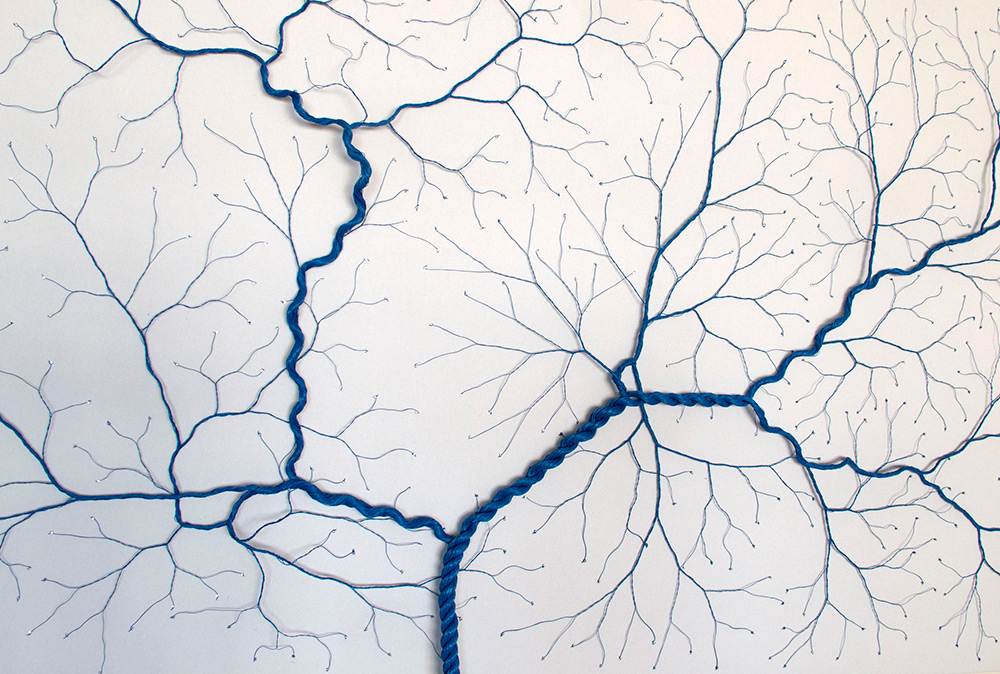 Ciclotramas Hypnotizing Tree And Roots Like Installations By Janaina Mello Landini 6