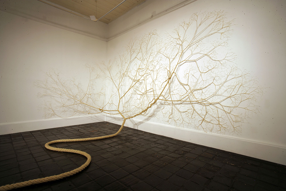 Ciclotramas Hypnotizing Tree And Roots Like Installations By Janaina Mello Landini 8