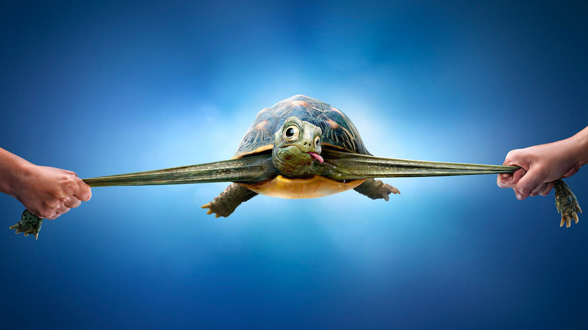 Clever 3d Digital Artworks By Garrigosa Studio 1