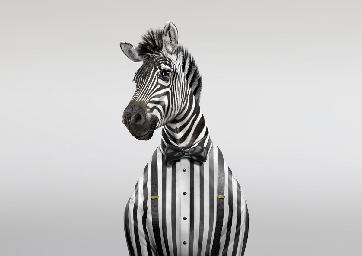 Clever 3d Digital Artworks By Garrigosa Studio 10