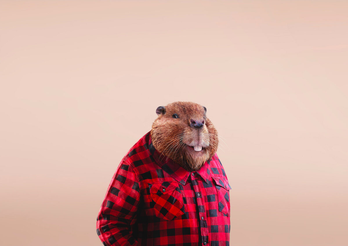 Clever 3d Digital Artworks By Garrigosa Studio 12