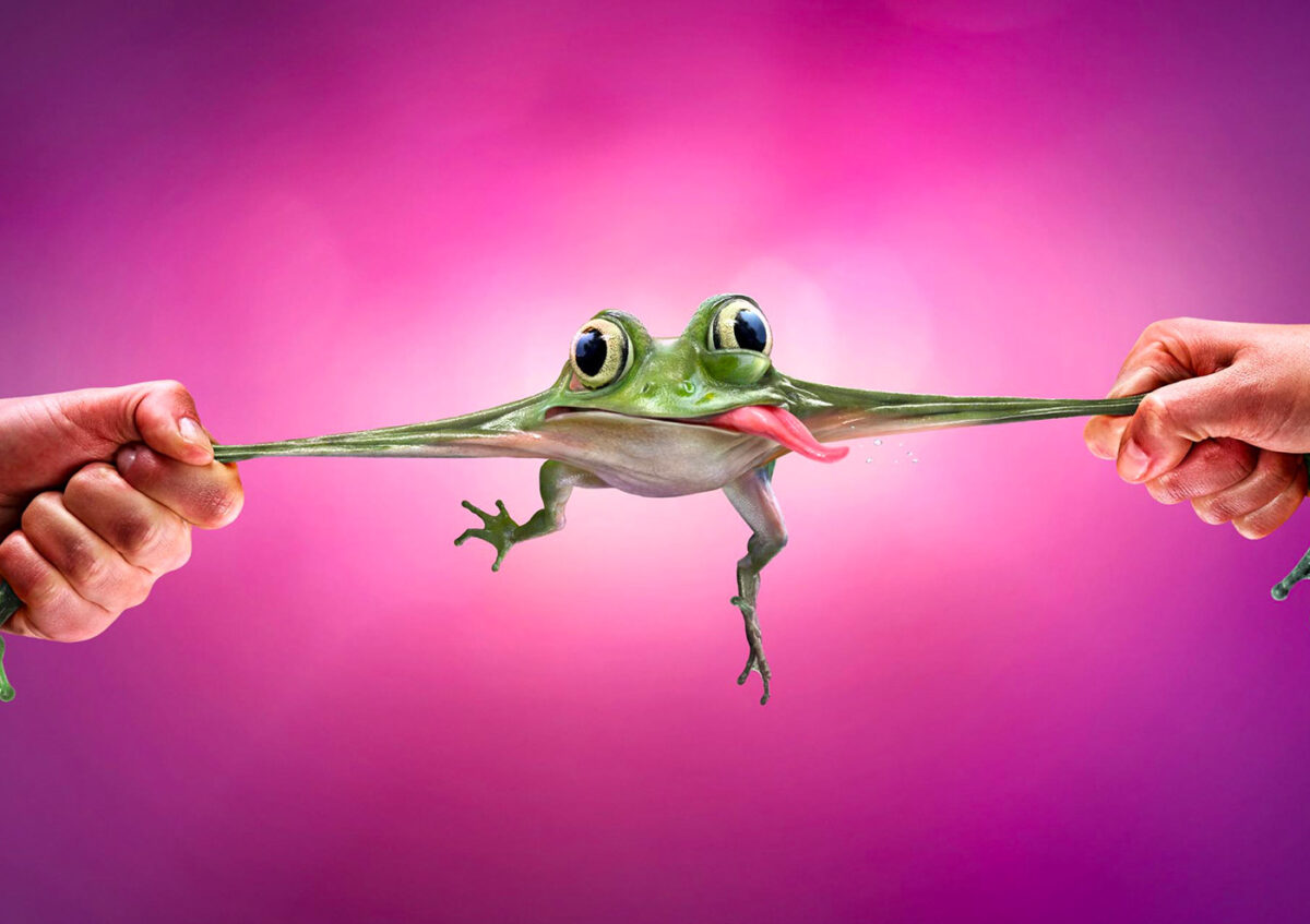 Clever 3d Digital Artworks By Garrigosa Studio 16 1