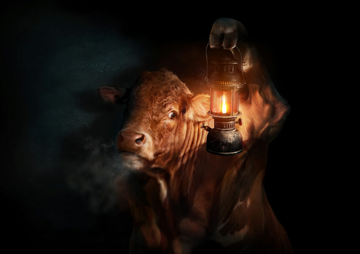 Clever 3d Digital Artworks By Garrigosa Studio 17