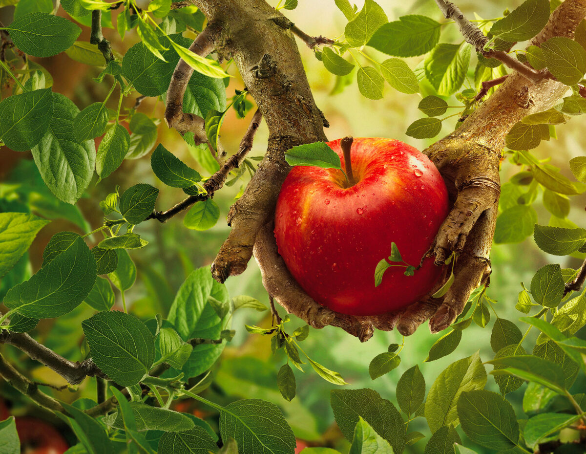 Clever 3d Digital Artworks By Garrigosa Studio 5