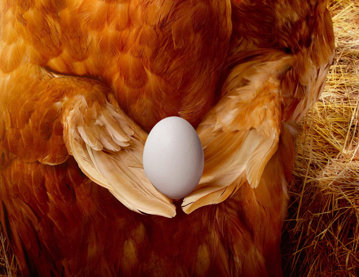 Clever 3d Digital Artworks By Garrigosa Studio 6