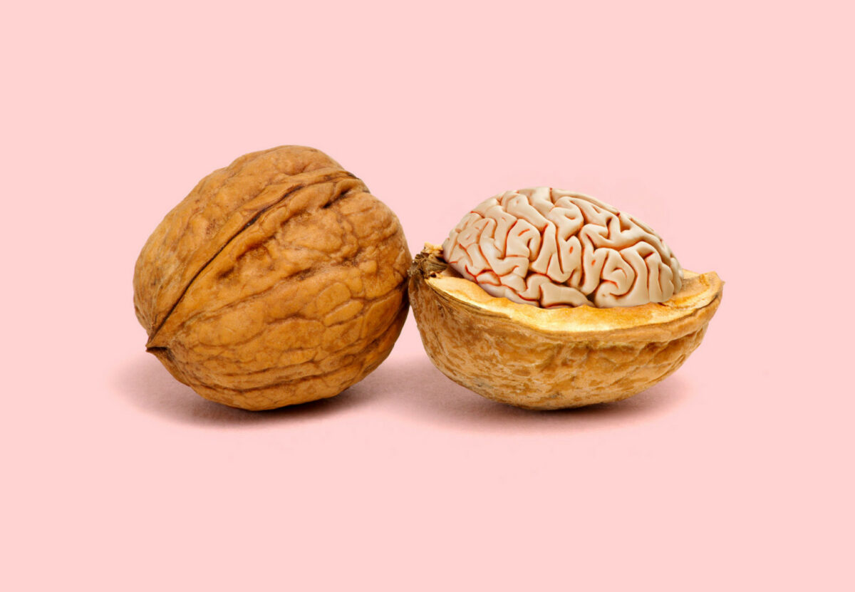 Contemporary Genetics The Amusing Surreal Digital Collages Of Studio Les Creatonautes 10